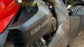 Can Am Ryker Rally 2020 Total Auto mx (8)