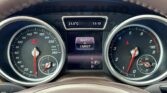 MERCEDES BENZ GLE 350 2016 SELECT AUTO MX (44)