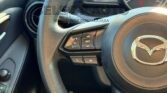 Mazda 2 i 2020 select auto mx (37)