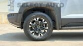 BYD SHARK GS 2025 (12)