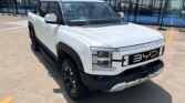 BYD SHARK GS 2025 (2)