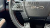 BYD SHARK GS 2025 (34)
