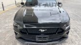 FORD MUSTANG GT 2019 (3)