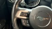 FORD MUSTANG GT 2019 (30)