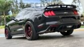 FORD MUSTANG GT 2019 (34)