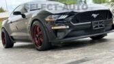 FORD MUSTANG GT 2019 (35)