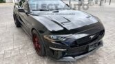 FORD MUSTANG GT 2019 (4)