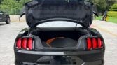 FORD MUSTANG GT 2019 (8)